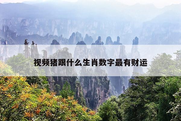 视频猪跟什么生肖数字最有财运