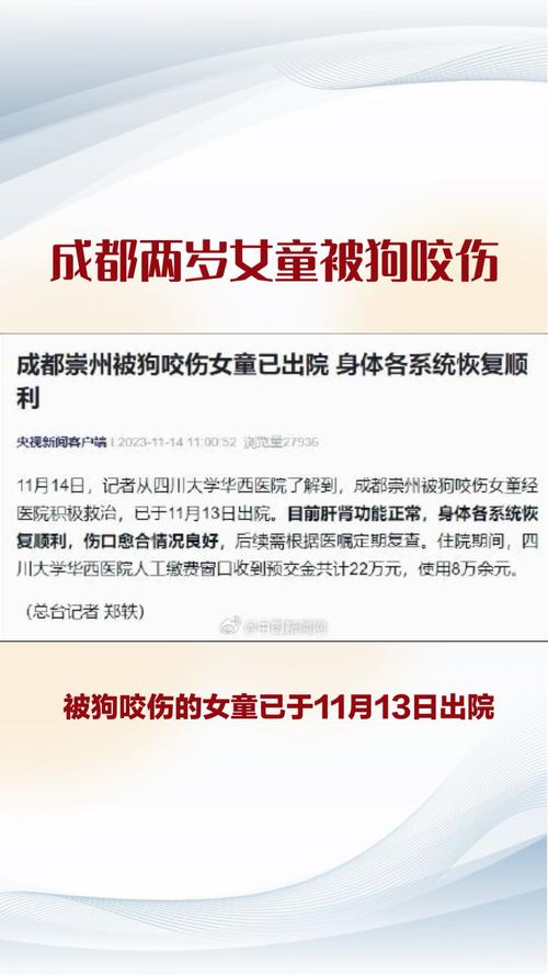 女童被狗扑咬受伤,女儿被小狗咬了没出血怎么办