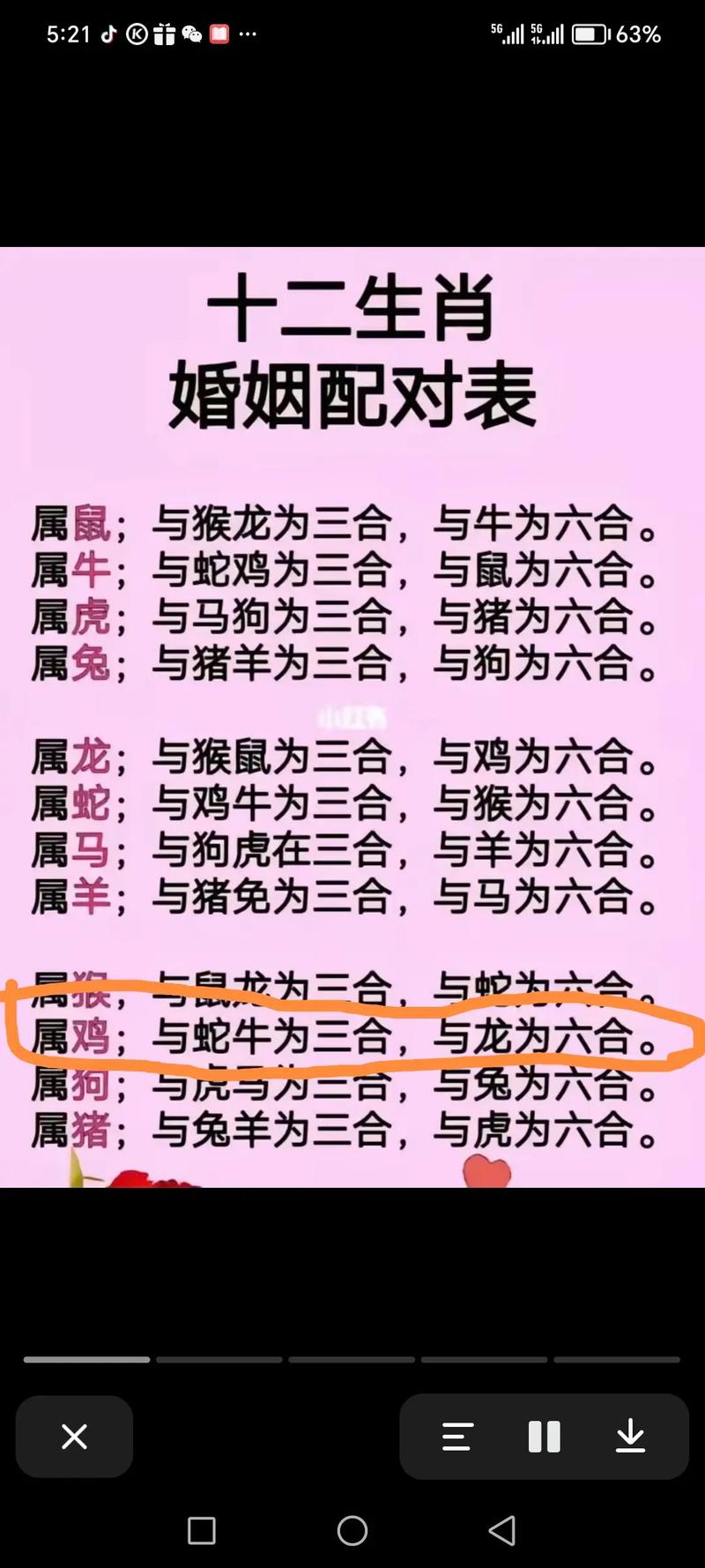 澳门开奖结果+开奖记录表生肖和凤凰古城百人抢鸭子与凤凰古城百人抢鸭子是真的吗