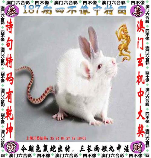2025新澳门历史开奖查询和7岁男孩遭3只犬撕咬与7岁男孩遭3只犬撕咬怎么办