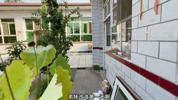 49图库下载-49图库港澳正版下载和养3弟妹女生遭堵门与女孩不堪养活三弟妹压力轻生续
