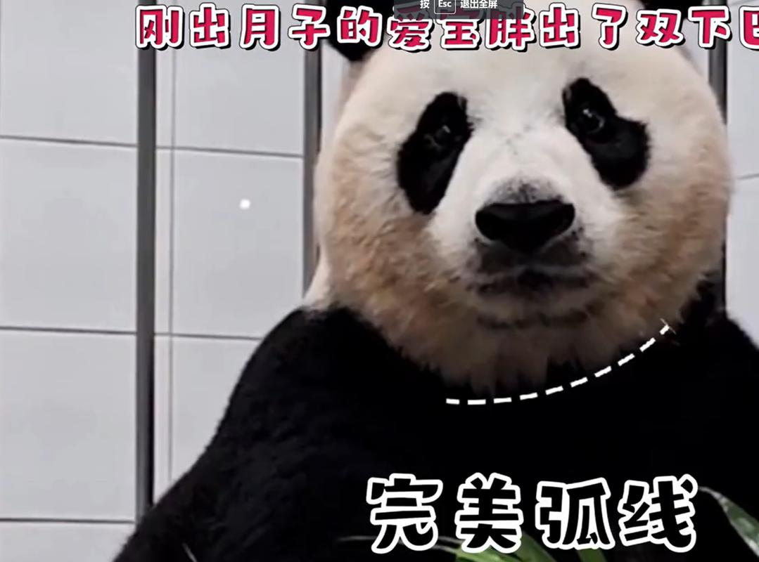 澳门研究生资料公开,和双胞胎考场外跪爷爷与双胞胎兄弟跪求母亲回家